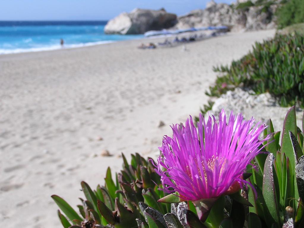 Eolos Apartments With Private Parking Ayios Nikitas Luaran gambar